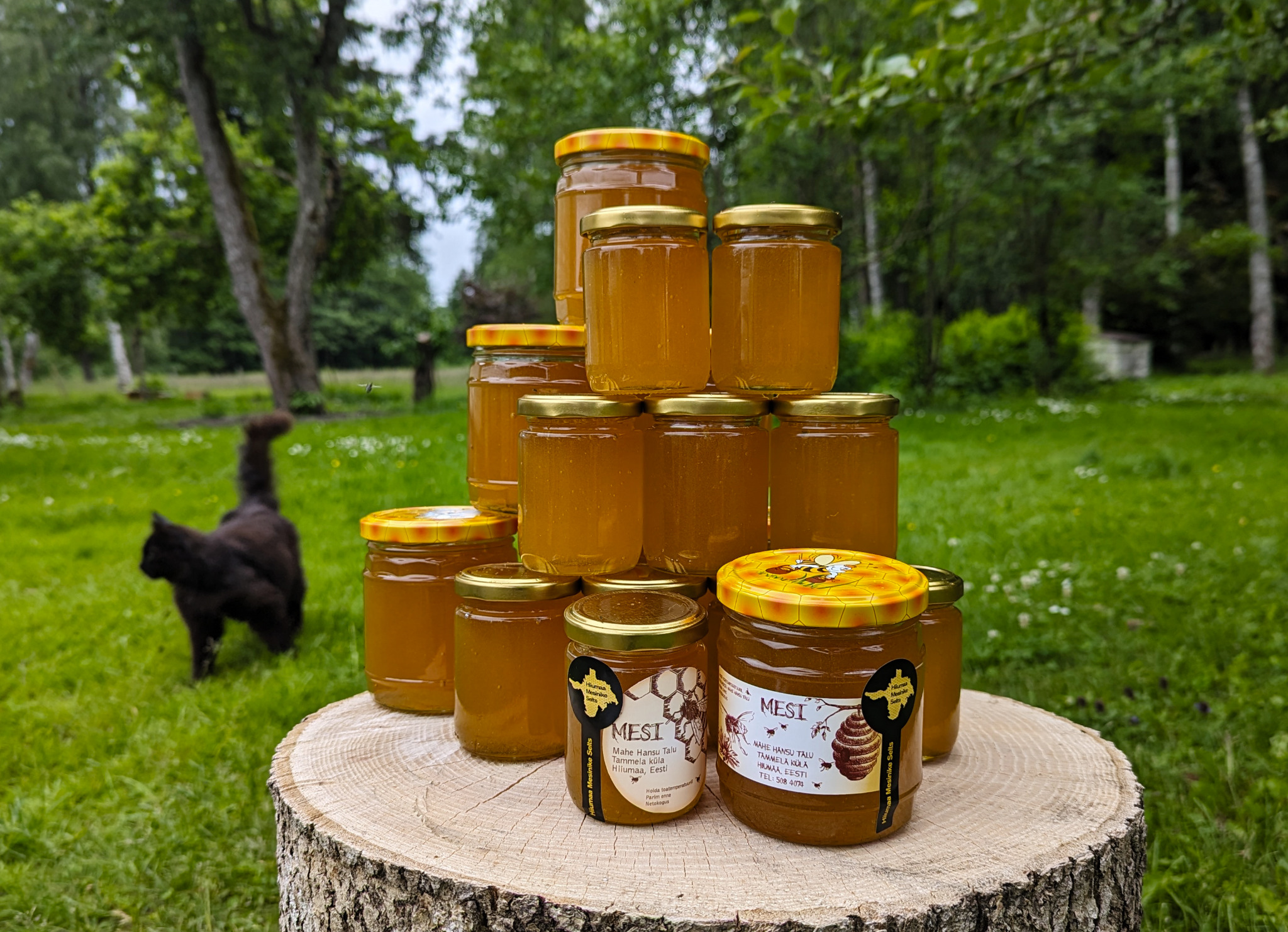 Meepurgid Hansu talus